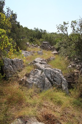 C19882 26-07-2014 Nečujam.jpg